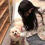 刀刀烈火手游正式版下载